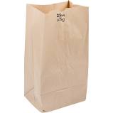 R3 KRAFT BAG 25LB 8-1/4x6-1/8x15-7/8 (BROWN)