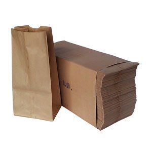 R3 KRAFT BAG 6LB (BROWN)   500/C S